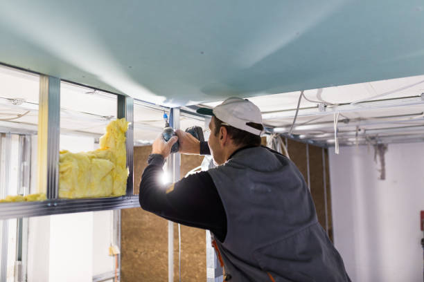 Best Specialized Insulation Services in Acres Green, CO