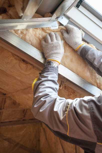 Best Energy Efficiency Insulation in Acres Green, CO
