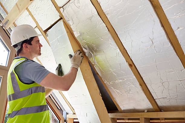 Best Insulation for Specific Applications in Acres Green, CO