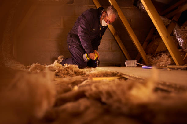 Best Blown-in Insulation in Acres Green, CO
