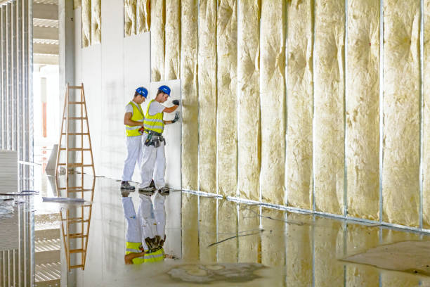 Types of Insulation We Offer in Acres Green, CO